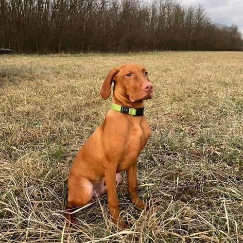 328500677_980662000005556_7451758301445450748_n